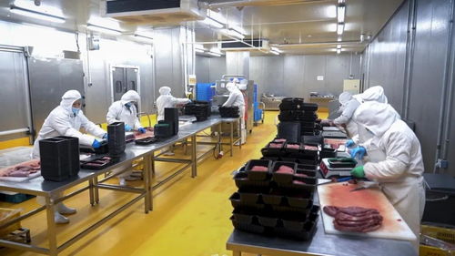 专业食品供应商 六和勤强邀请您参加上海肉类工业展